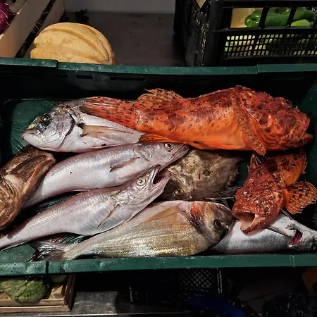 krevet i doručak Bracera 4*