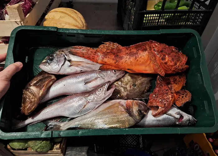 Bed & Breakfast Bracera 4*